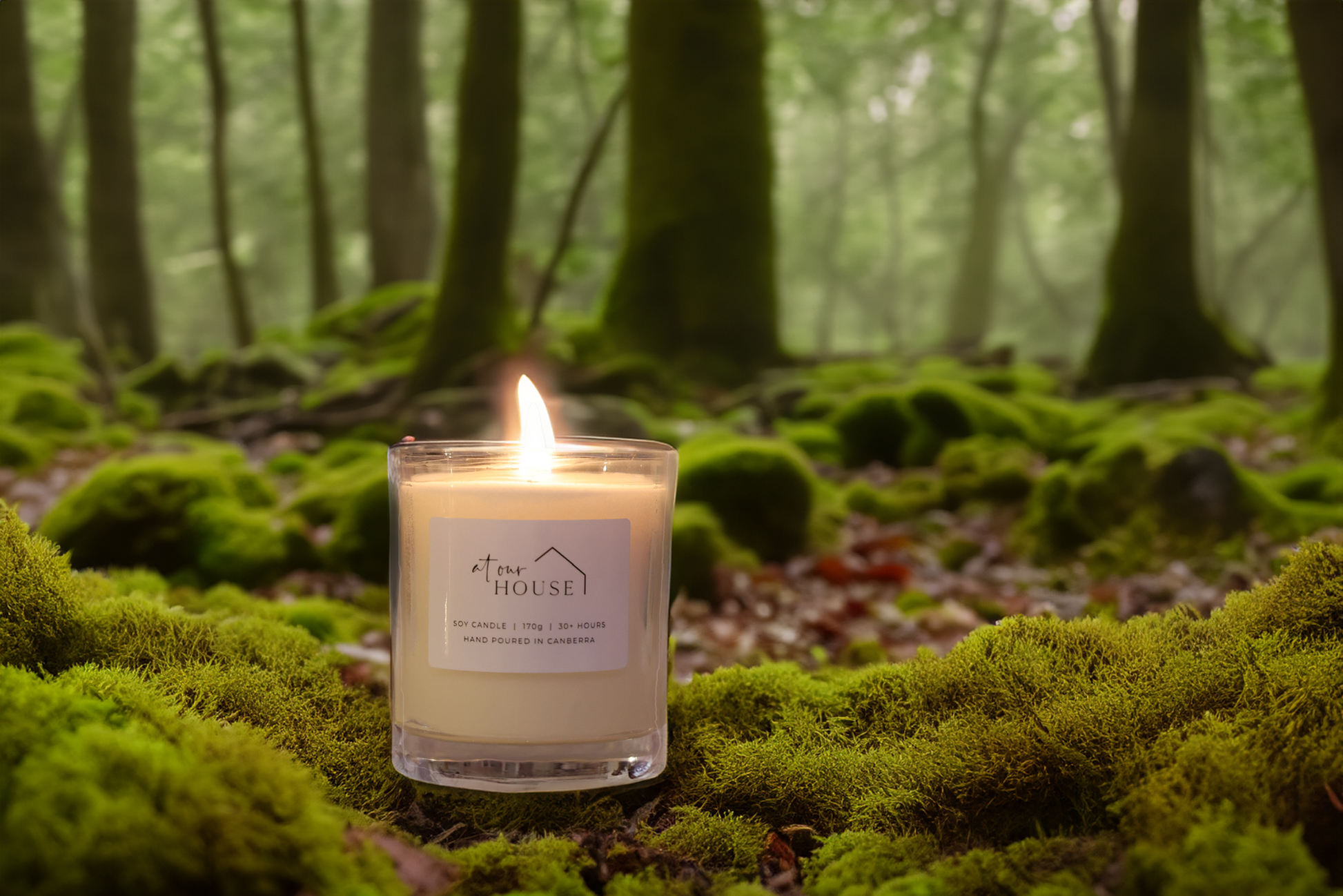 Amber Moss & Teak image 0