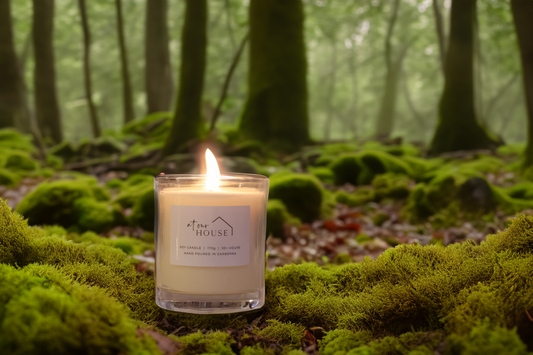 Amber Moss & Teak image 0