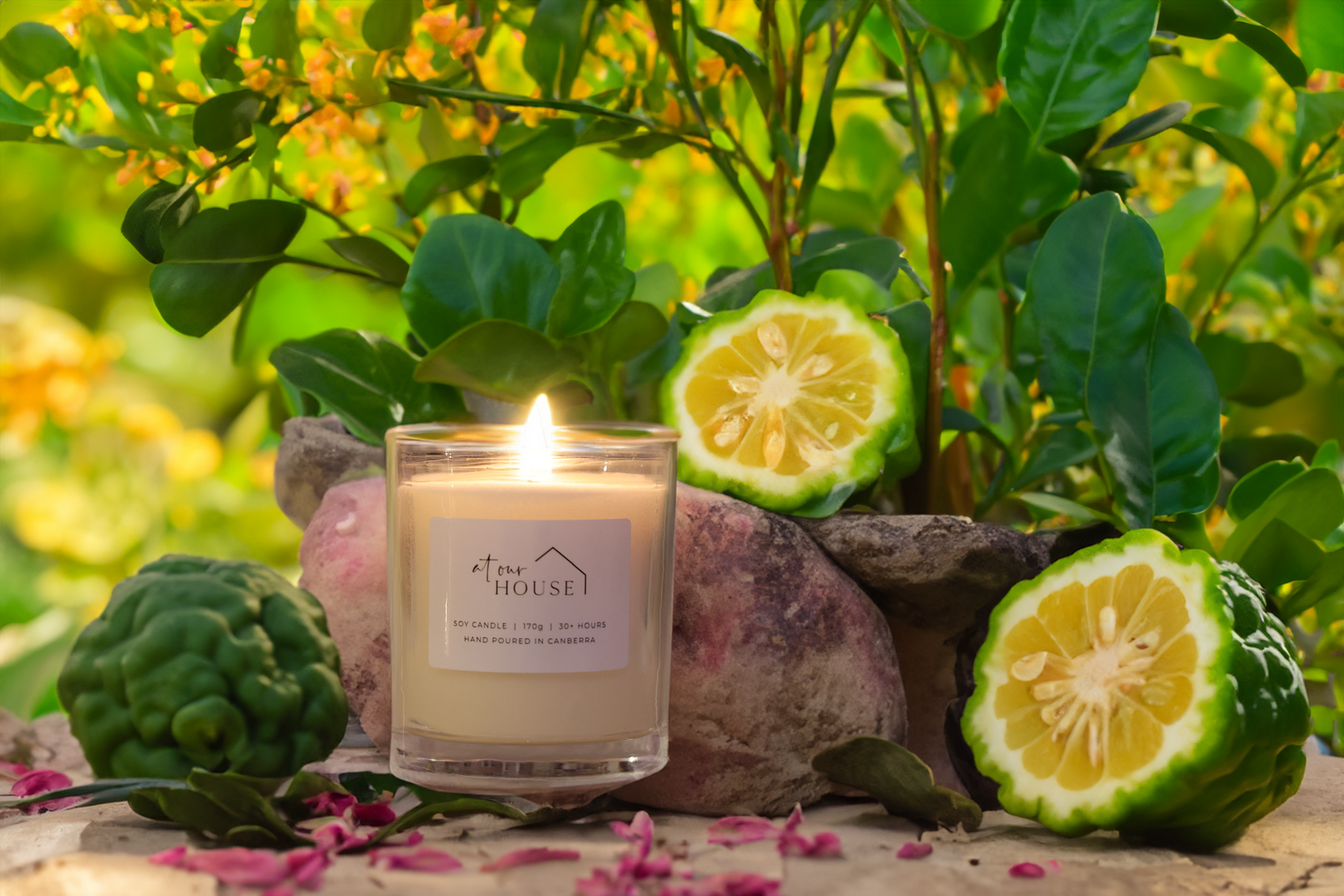 Bergamot & Patchouli image 0