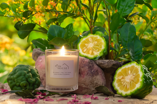 Bergamot & Patchouli image 0