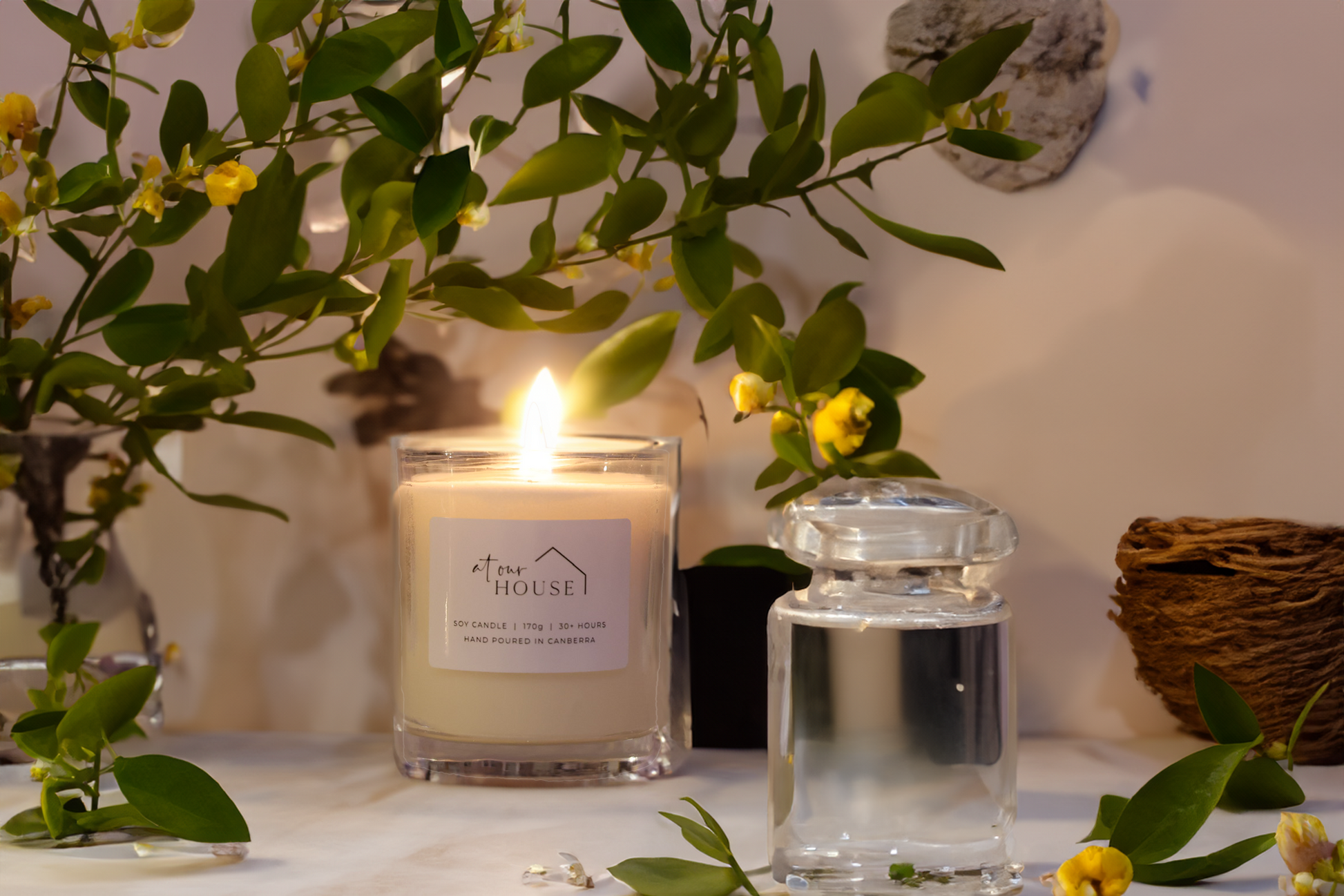 Lemon Myrtle image 0