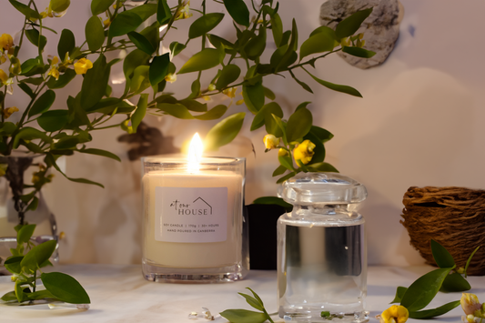 Lemon Myrtle image 0